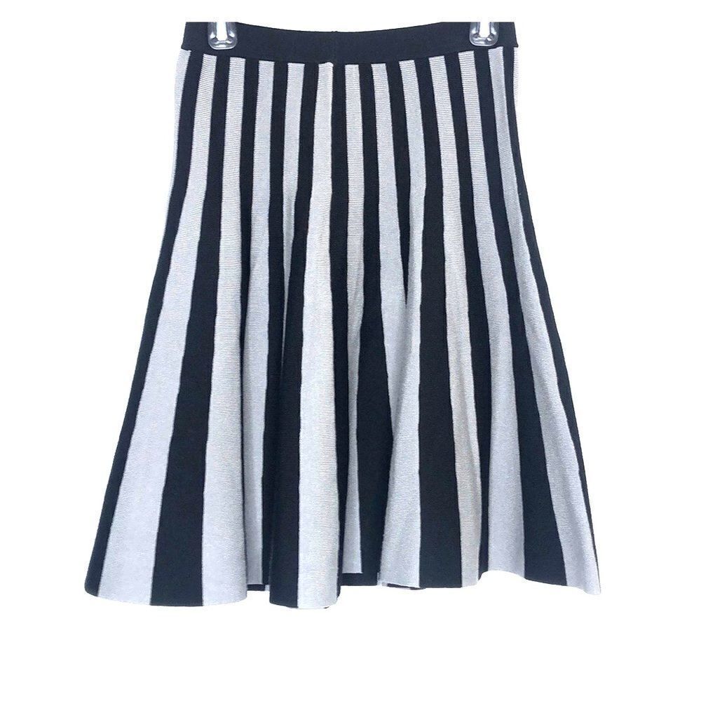 Chelsea & Theodore woman’s striped skirt NWT